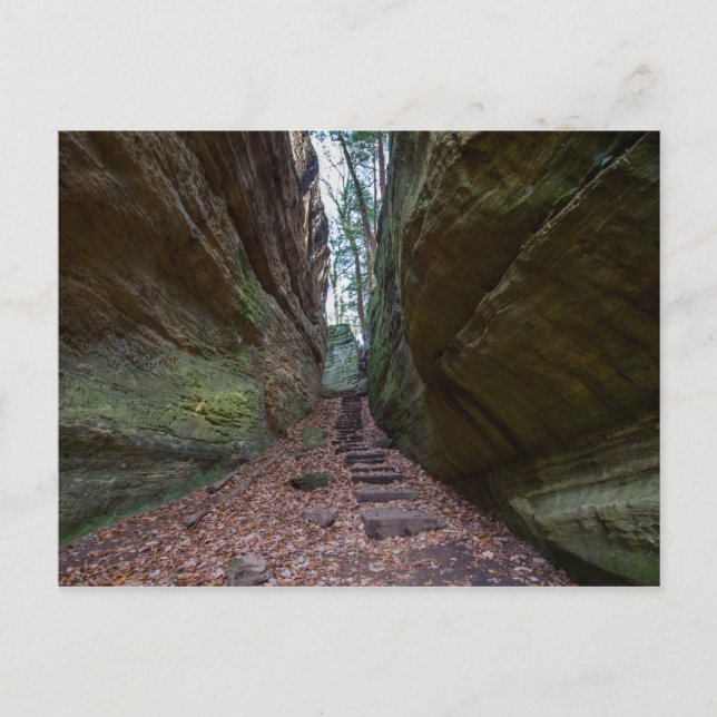 Carte Postale Cantwell Cliffs, Hocking Hills State Park, Ohio (Devant)