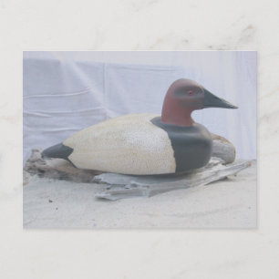 Carte postale Canvasback Duck Decoy