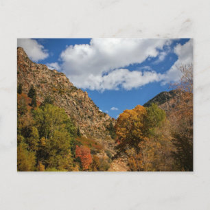 Carte Postale Canyon de Cottonwood Pittoresque Byway Automne dan