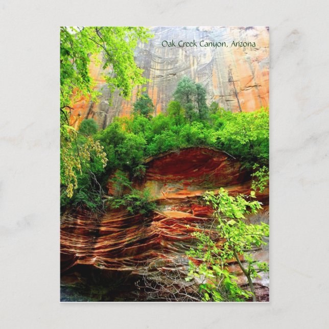 Carte Postale Canyon d'Oak Creek (Devant)