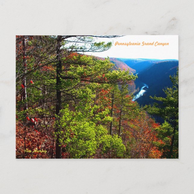 Carte Postale Canyon grand de la Pennsylvanie (Devant)
