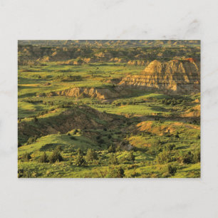 Carte Postale Canyon peint après l'orage à Theodore Roosevelt