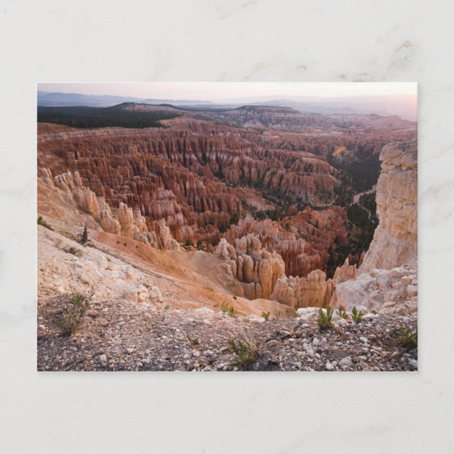 Carte Postale Canyon Wide Angel Bryce (Devant)