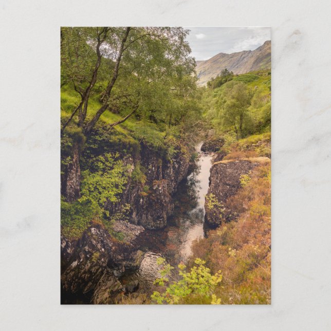 Carte Postale Canyons River Coe (Devant)