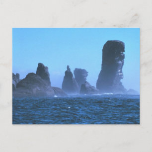 Carte Postale Cap Flattery
