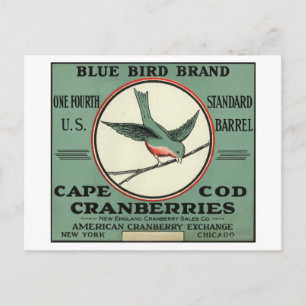 Carte Postale Cape Cod Blue Bird Brand Cranberry Étiquette