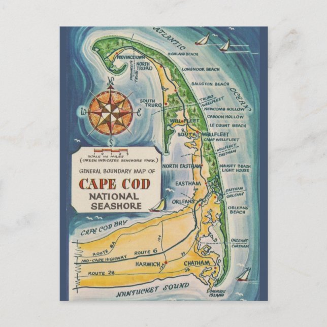 Carte Postale Cape Cod National Seashore  (Devant)
