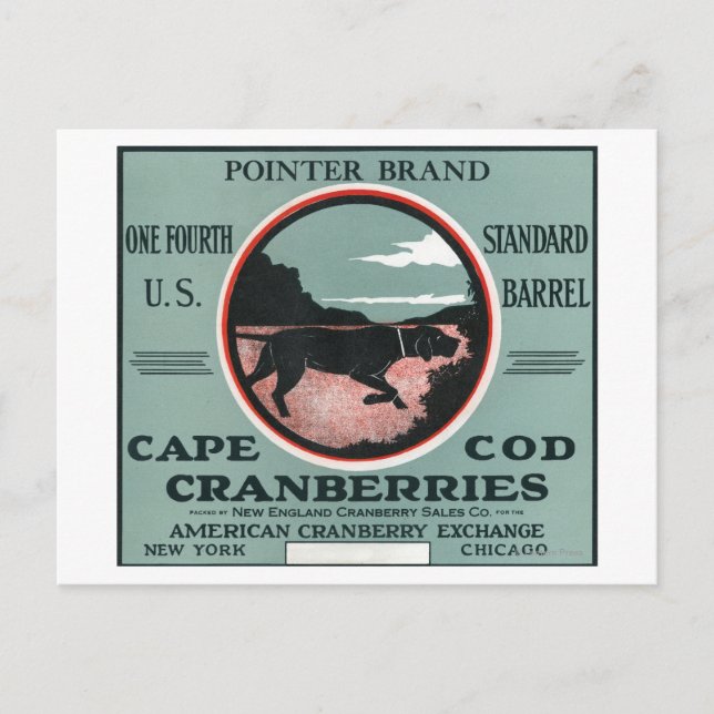 Carte Postale Cape Cod Pointer Marque Cranberry Étiquette (Devant)