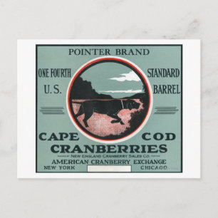 Carte Postale Cape Cod Pointer Marque Cranberry Étiquette