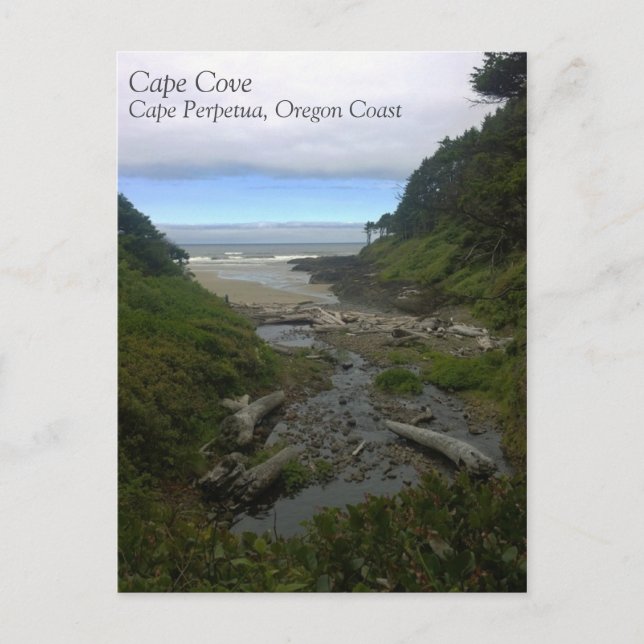 Carte Postale Cape Cove, Cape Perpetua, Oregon (Devant)