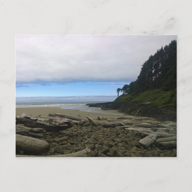 Carte Postale Cape Cove, Cape Perpetua, Oregon (Devant)