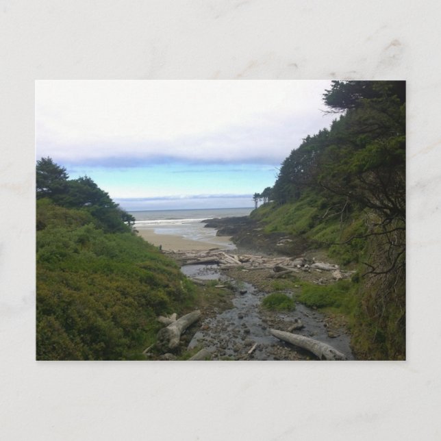 Carte Postale Cape Cove, Cape Perpetua, Oregon (Devant)