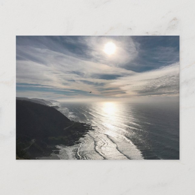 Carte Postale Cape Perpetua - Aigle en vol - près de Yachats, OR (Devant)
