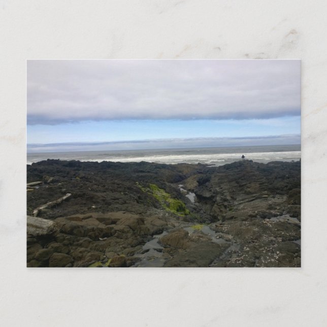 Carte Postale Cape Perpetua, Côte de l'Oregon (Devant)