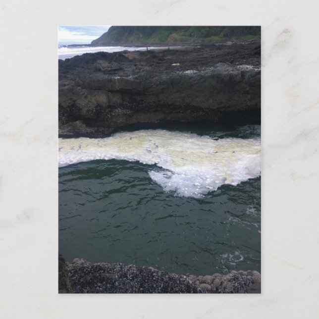 Carte Postale Cape Perpetua, Côte de l'Oregon (Devant)