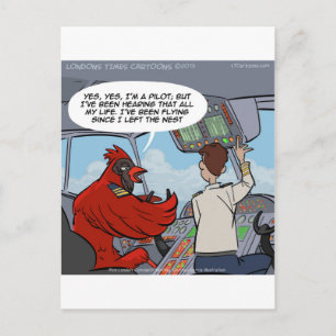 Carte Postale Capitaine Byrd Vol Un Jumbo Jet Drôle