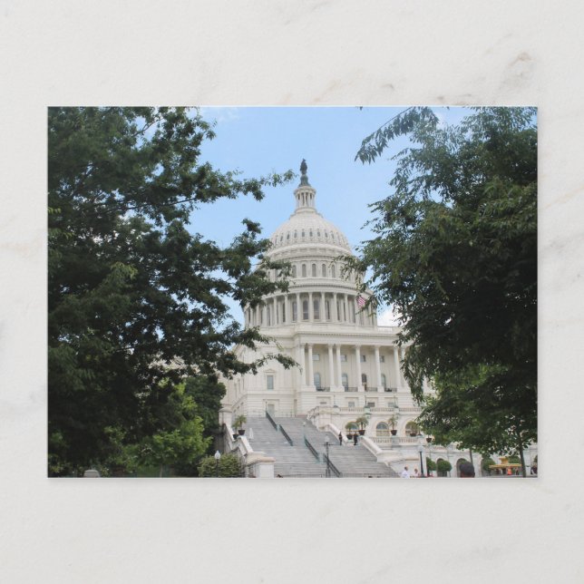 Carte Postale Capitol Building Arbres encadrés (Devant)