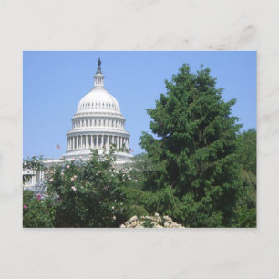 Carte Postale Capitol du parc Bartholdi