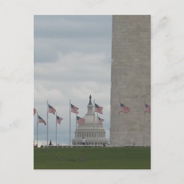 Carte Postale Capitole américain et monument de Washington (Devant)