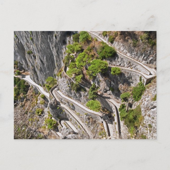 Carte Postale Capri. #11. (Devant)