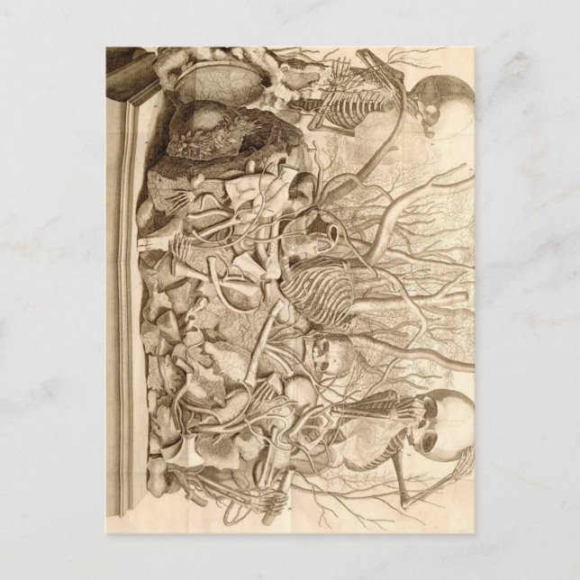 Carte Postale Capteurs pour nourrissons (Devant)