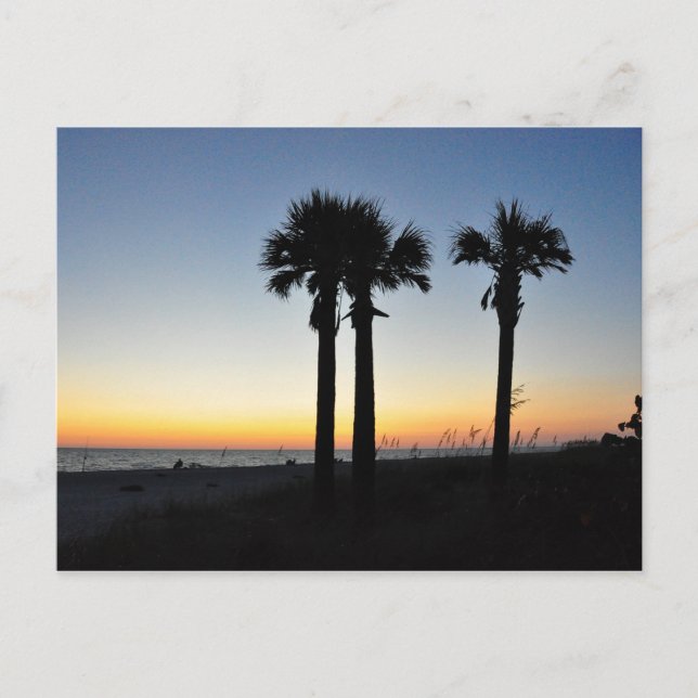 Carte Postale Captiva Island Palm Trees Coucher du soleil Florid (Devant)