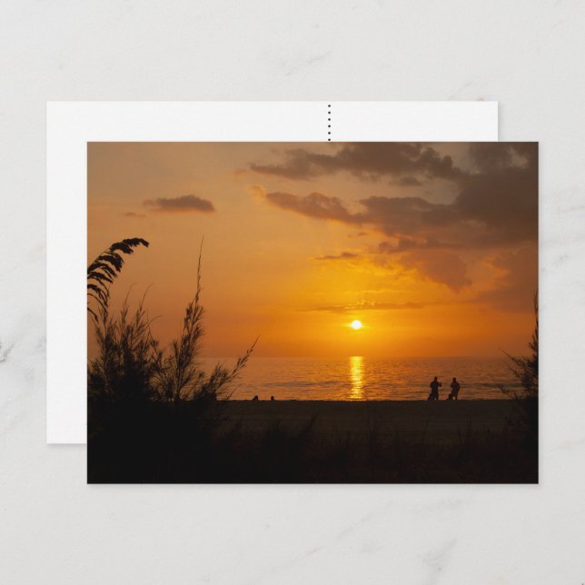 Carte postale Captiva Sunset (Devant / Derrière)