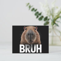 Capybara Drôle Bruh 