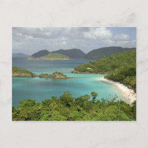 Carte Postale Caraïbes, Îles Vierges américaines, St. John, Trun