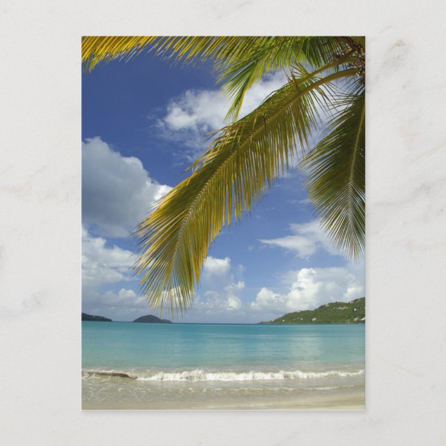 Carte Postale Caraïbes, îles Vierges américaines, St. Thomas, (Devant)