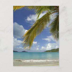Carte Postale Caraïbes, îles Vierges américaines, St. Thomas,