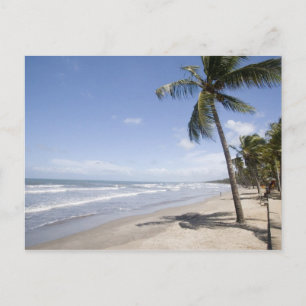 Carte Postale Caraïbes - Trinidad - Manzanilla Beach sur 2