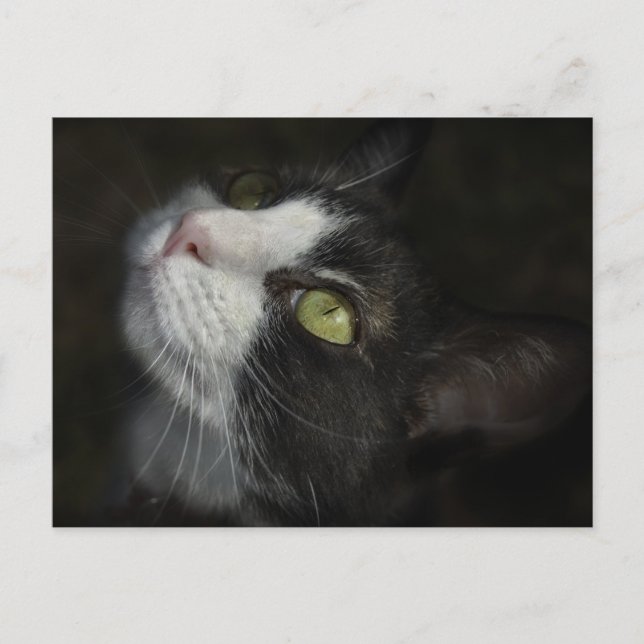 Carte Postale Caramel (Devant)