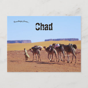 Carte Postale Caravane de chameaux quittant le village de Demi a