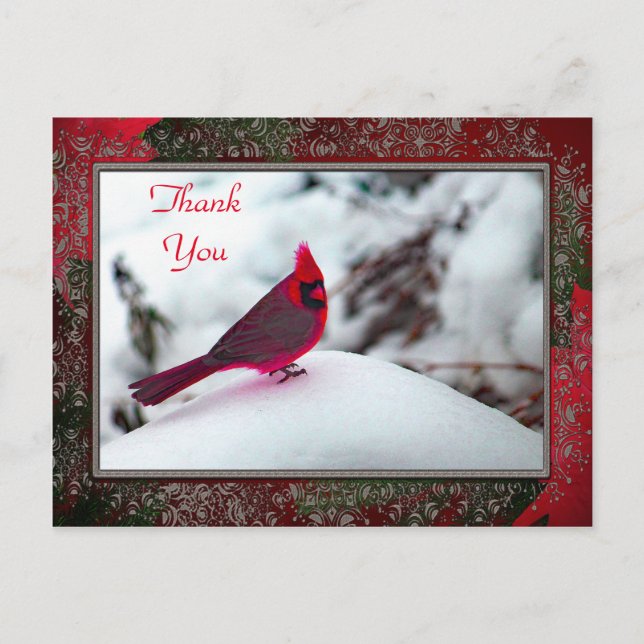 Carte postale Cardinal 6241 Frame TY (Devant)