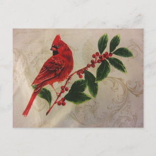 Carte Postale Cardinal à Holly Bush