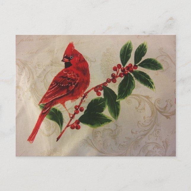 Carte Postale Cardinal à Holly Bush (Devant)