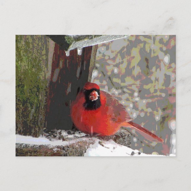 Carte Postale Cardinal à la source (Devant)