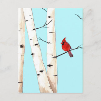 Carte Postale Cardinal aux bouleaux