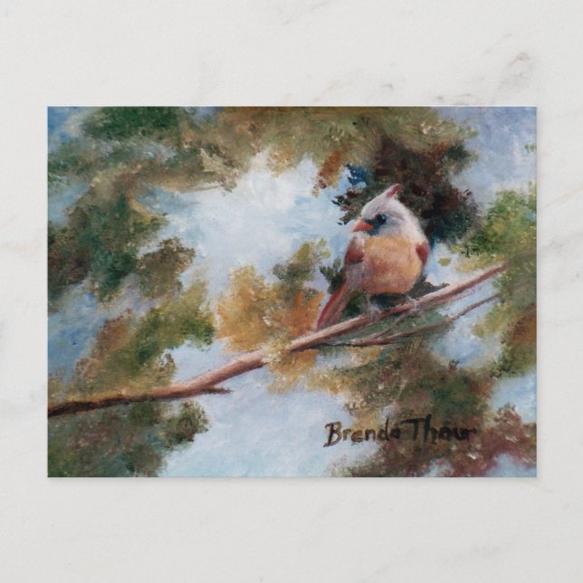 Carte postale Cardinal Bébé (Devant)