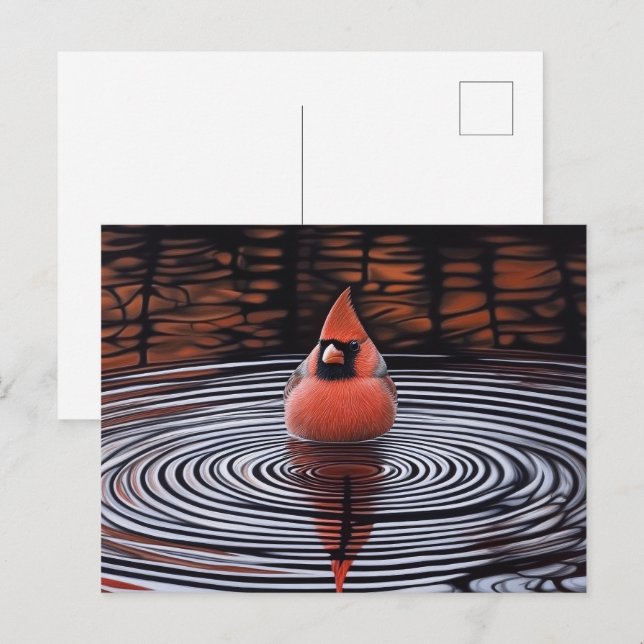 Carte Postale Cardinal Bird prend un bain (Devant / Derrière)