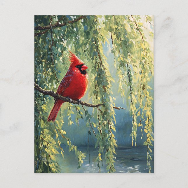 Carte Postale Cardinal dans un arbre sauvage (Devant)