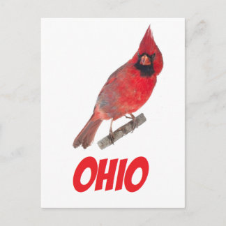 Carte Postale Cardinal de l'Ohio