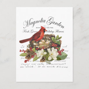 Carte Postale Cardinal de Noël Vintage