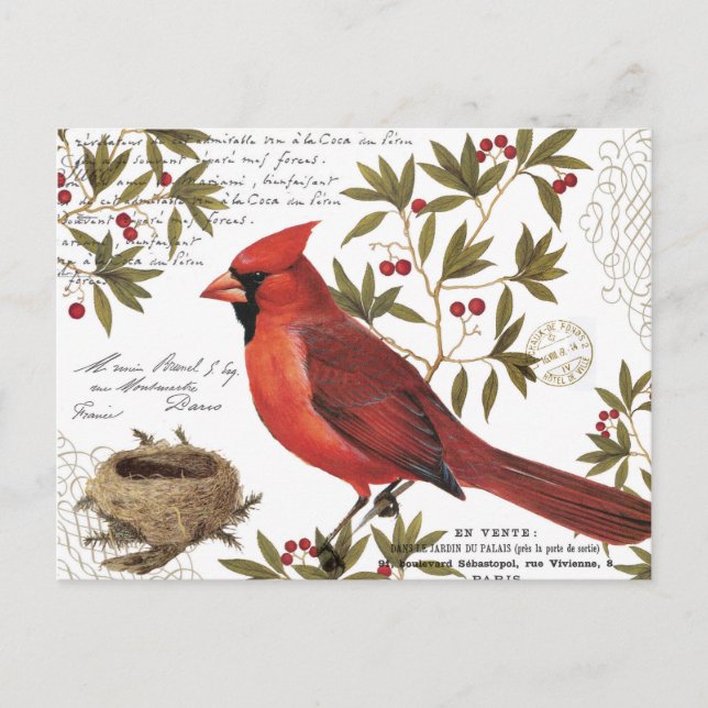 Carte Postale cardinal d'hiver vintage moderne (Devant)