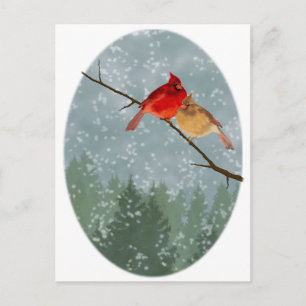 Carte Postale cardinal en hiver