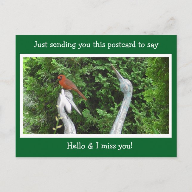 Carte Postale Cardinal Hide dire Bonjour et Mlle Vous (Devant)