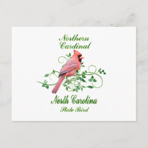 Carte Postale Cardinal North Carolina State Bird