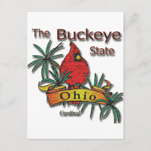 Carte Postale Cardinal Ohio Buckeye