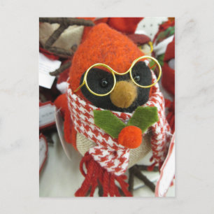 Carte Postale Cardinal Portant des lunettes
